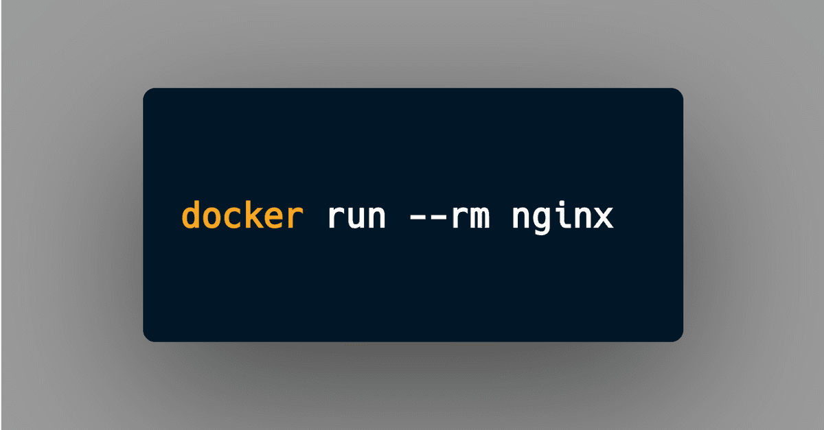 Code snippet of the docker run command with the --rm flag