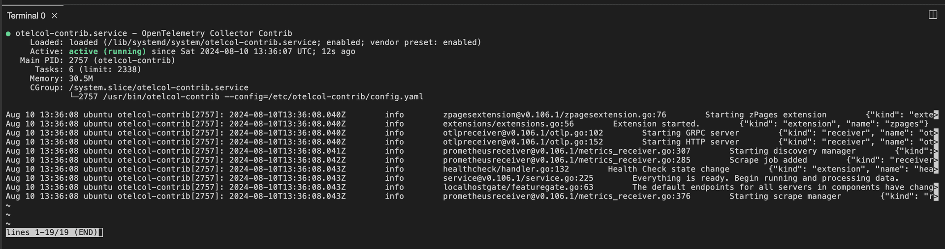 terminal screenshot