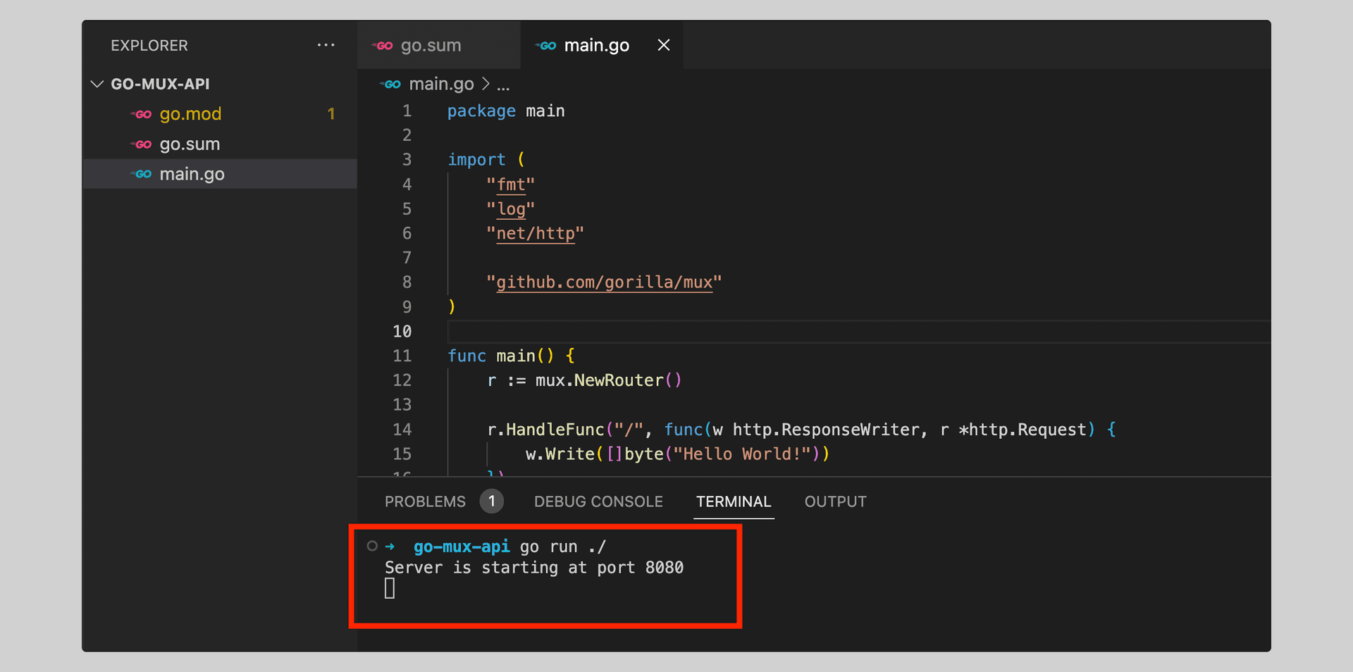 Editor showing main.go with a mux router and a root handler, and the terminal output confirming the server started on port 8080