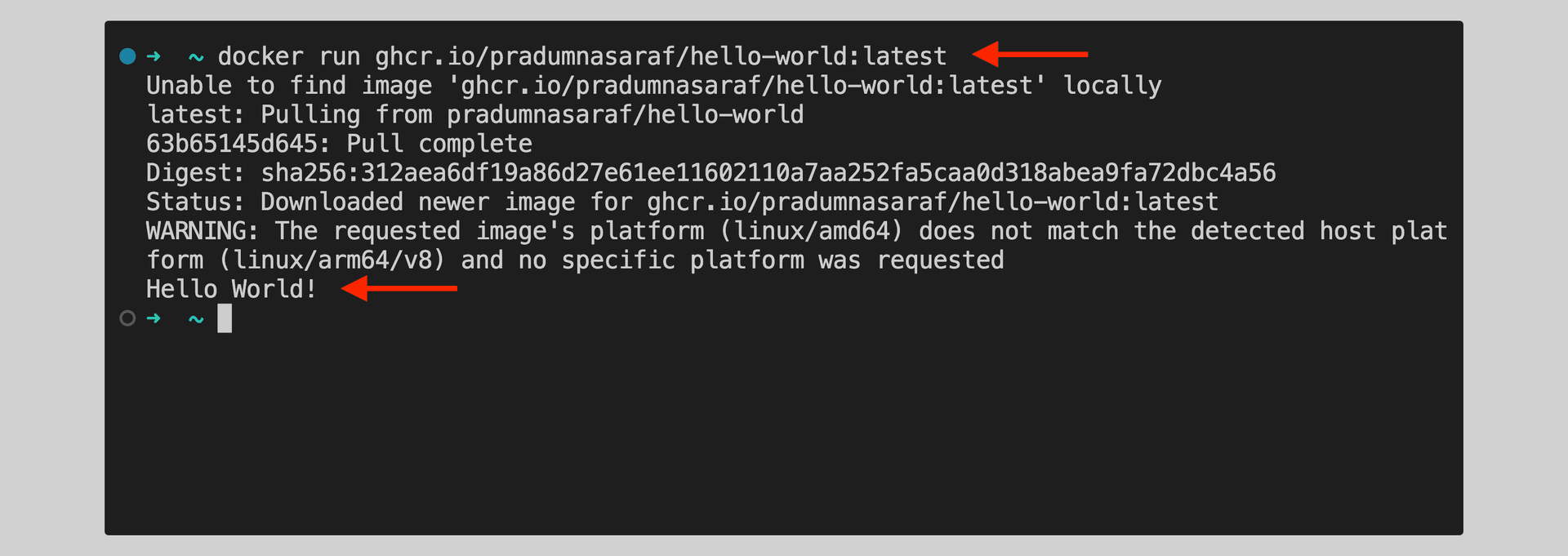 Terminal running docker run against the image on ghcr.io, pulling it and printing Hello World