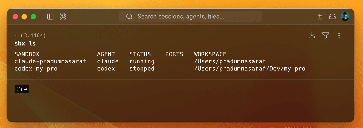 sbx ls listing two sandboxes with their agent, status and workspace path, one running and one stopped