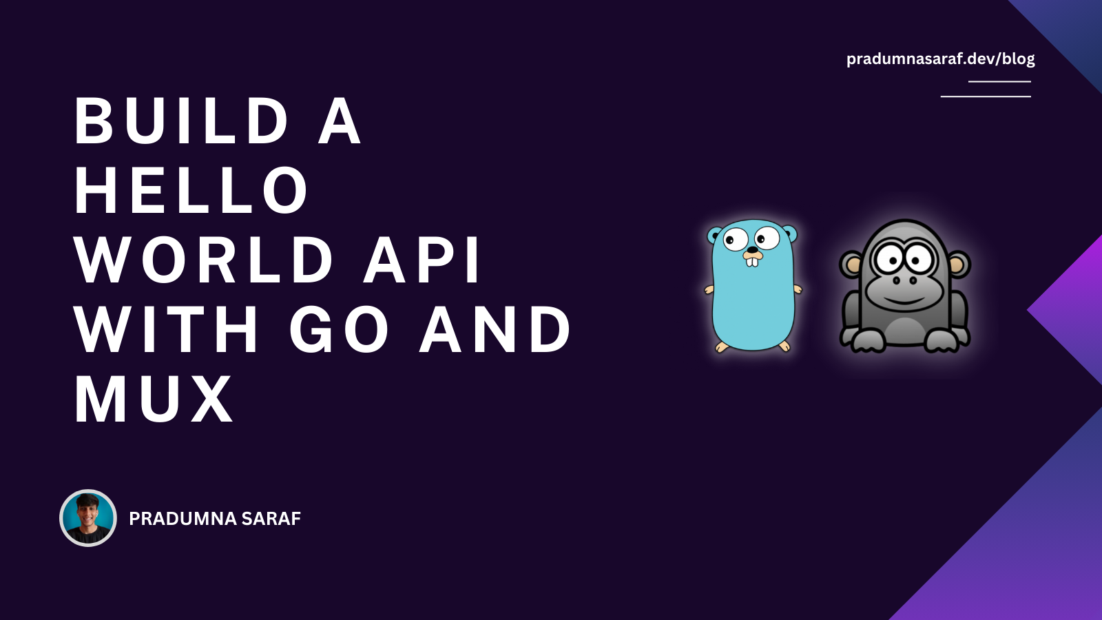 Build a Hello World API with Go and Mux | Pradumna Saraf Blog