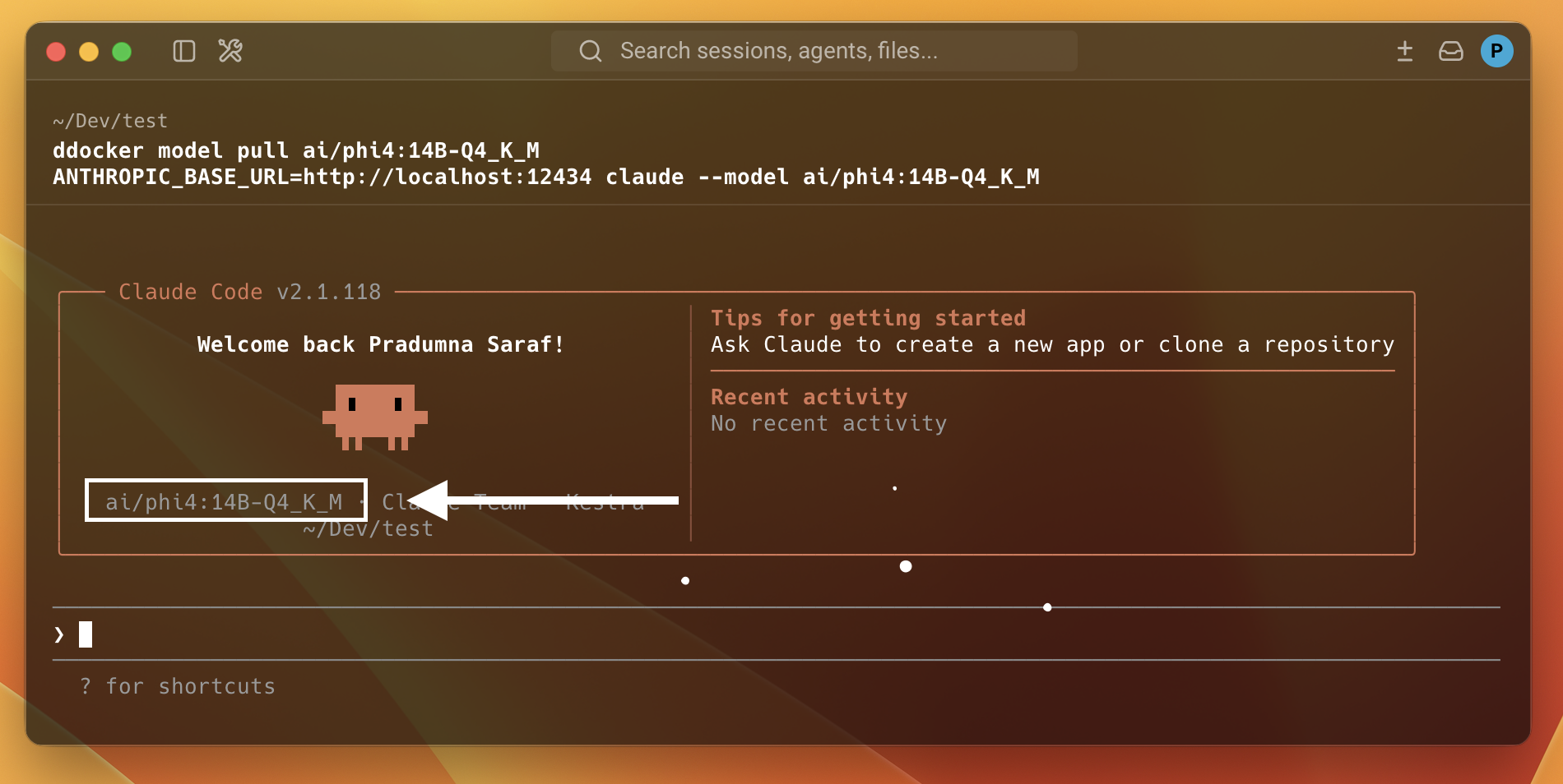 terminal screenshot
