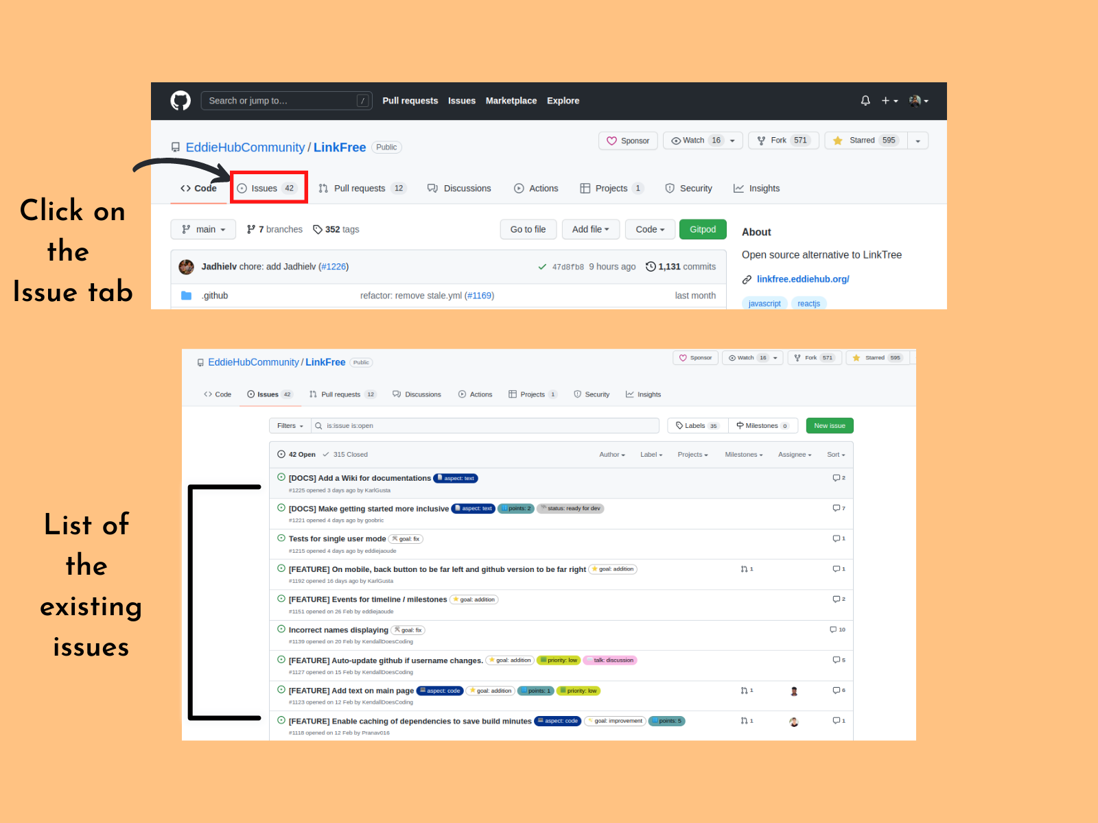 Click on the Issue tab.png